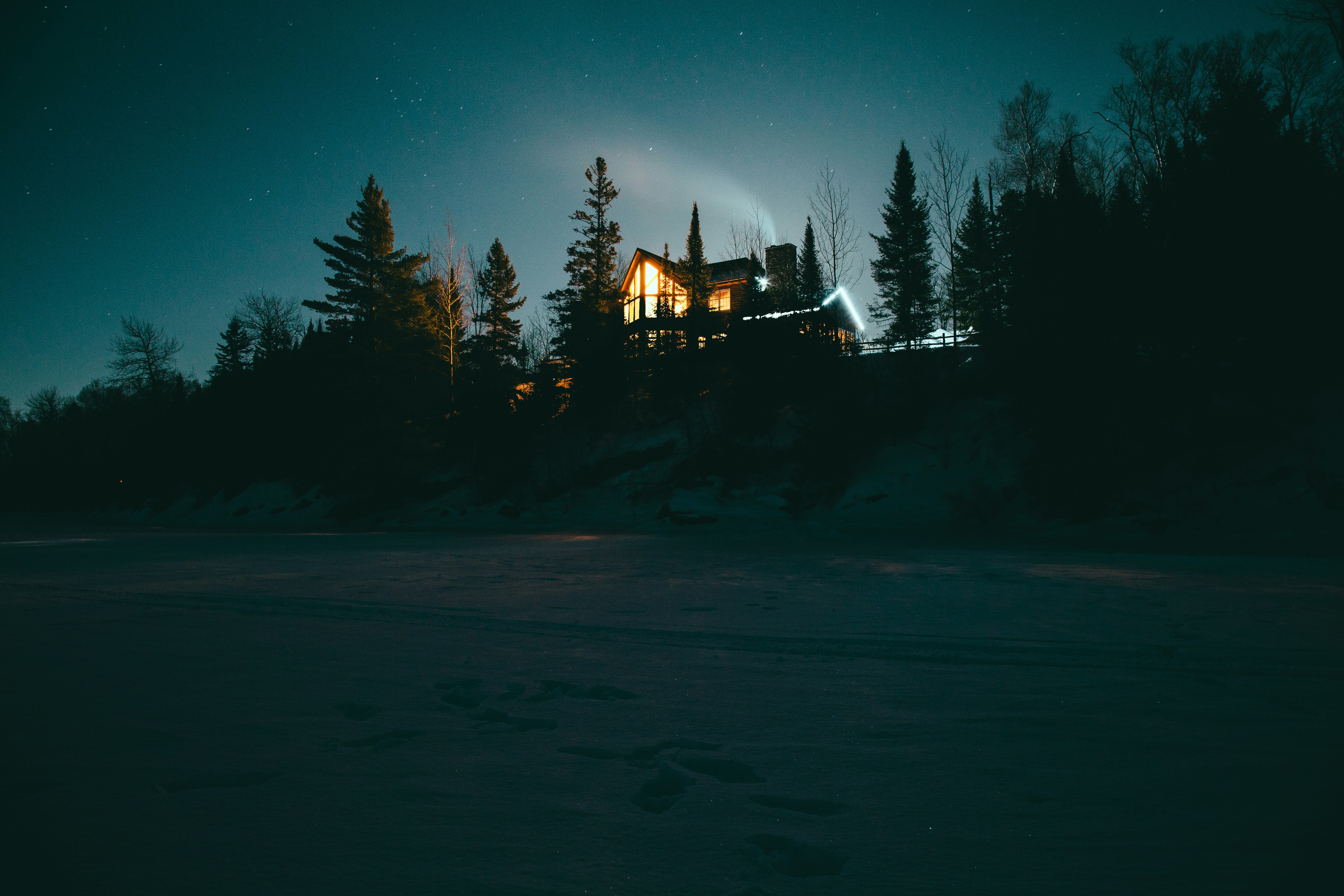 house surrounded by trees during night